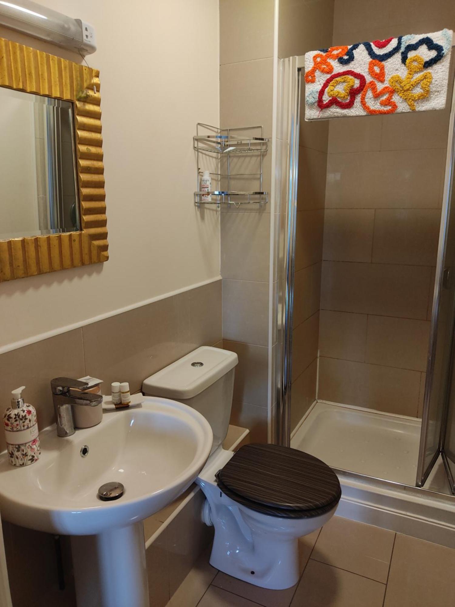 Swallows Nest - Spacious Bright Double Bedroom With Ensuite Bathroom ダブリン エクステリア 写真